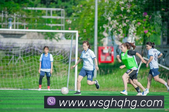 世界杯官网登录appAPP 封面图